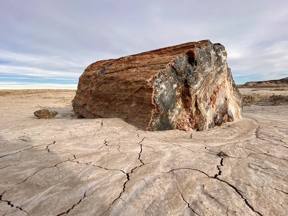 A photo Taken by Jacob Padilla. Location: United States